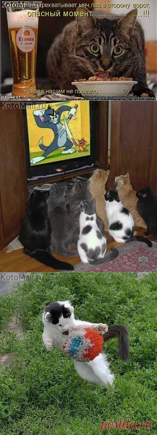 Болельщик | KotoMail.ru