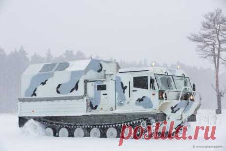 Новый вездеход ТМ140 &quot;Арктика&quot;