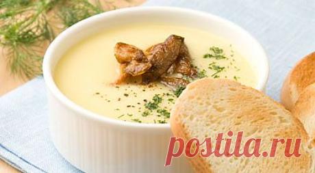 Картофельный суп-пюре с грибами и укропом.