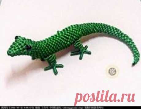 Lizard