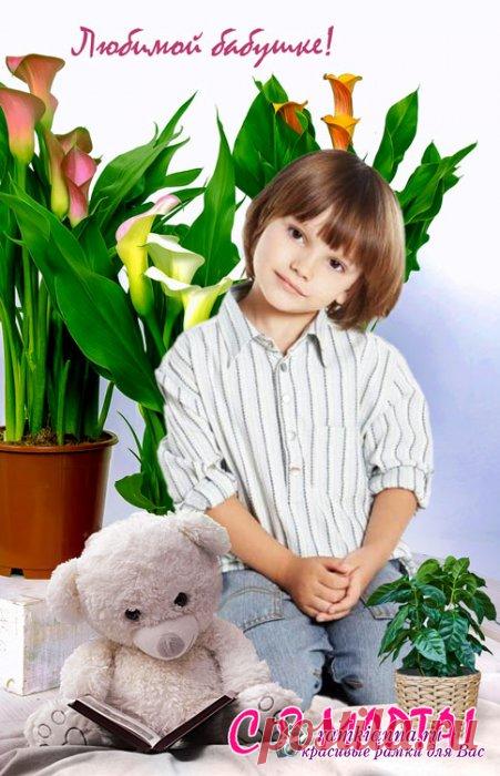 Коллаж Любимой бабушке» портрет, авторские шаблоны,детские коллажи, детские PSD фотошаблоны, psd шаблоны, коллажи, школьные psd коллажи, для детского сада, дизайн, купить, календари » Детские PSD фотошаблоны, выпускные фотокниги, школьные фотоальбомы, для детского сада, psd шаблоны, для фотокниг, новогодние, коллажи, школьный psd, новый год, фотокнига, макет, купить, дизайн, календари ana1979