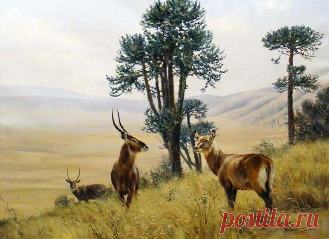 Английский художник-анималист Donald Grant (47 работ) » Картины, художники, фотографы на Nevsepic