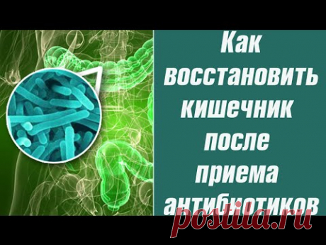 Как восстановить организм после антибиотиков?