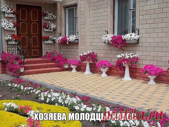 УДОБНЫЙ ЛЕГКИЙ ВОДЯНОЙ ШЛАНГ
УВЕЛИЧИВАЮЩИЙСЯ в 3 раза, от 7.5 до 30 м. ПЛЮС НАСАДКА РАСПЫЛИТЕЛЬ ✔Детали  ➡ ipodarki.livejournal.com/19663.html