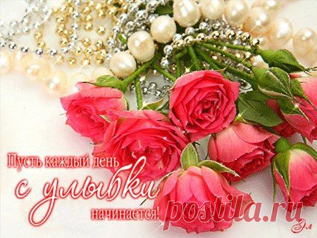 ✔ Бэст — Лучшее в сети