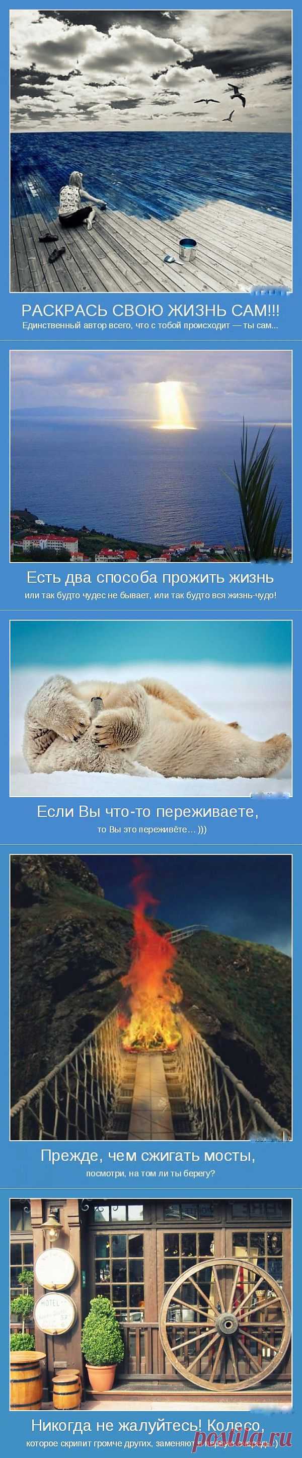 (+1) тема - Важно то что у тебя внутри... | ВСЕГДА В ФОРМЕ!