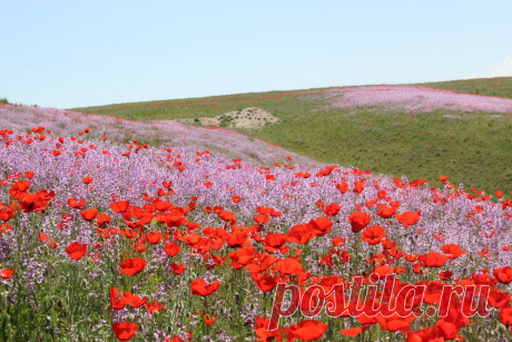 Panoramio - Untitled photo