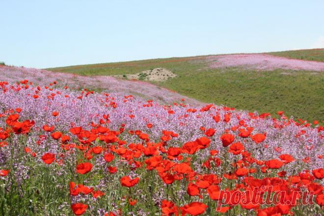 Panoramio - Untitled photo