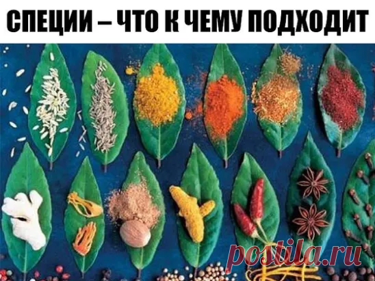 ХОЗЯЙКАМ НА ЗАМЕТКУ!
СПЕЦИИ – ЧТО К ЧЕМУ ПОДХОДИТ

ДЛЯ МЯСА: красный, черный, душистый перец или гвоздика, майоран, тимьян, тмин, куркума, лук, орегано.

ДЛЯ ПТИЦЫ: тимьян, майоран, розмарин, шалфей, чабрец, базилик.

ДЛЯ РЫБЫ: лавровый лист, белый перец, имбирь, душистый перец, лук, кориандр, перец чили, горчица, укроп, тимьян.

ДЛЯ ГРИЛЯ: красный перец, душистый перец, кардамон, тимьян, майоран, мускатный орех и мускатный цвет, тмин, имбирь, перец чили.

ДЛЯ ДИЧИ: тимьян...