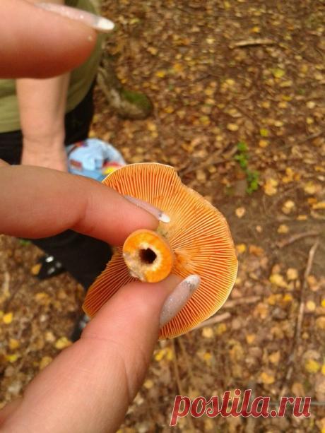 (63) Одноклассники