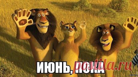 Июнь почти прошёл - неделя на исходе
И скоро он уйдёт, оставив настежь дверь
Под трели соловья, на солнечном восходе,
В жасминовом цветке вдаль улетит, поверь.
А лето, как казалось, ведь только начиналось –
Акации цвели и пели соловьи,
Цветов сирени волны под ветерком качались,
В солнцестояния день встречались две зори.
А месяц пролетел, оставив нам на память
Клубничные поля, покрытые росой,
В пшенице васильки, глазами нимф красавиц,
Смотрящие на мир июньскою порой.
Ещё на радость де