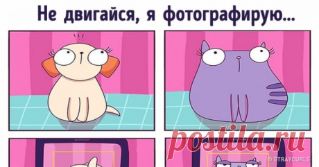 15 веселых комиксов о том, как жизнь ставит нам подножку . Милая Я