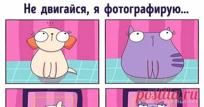 15 веселых комиксов о том, как жизнь ставит нам подножку . Милая Я