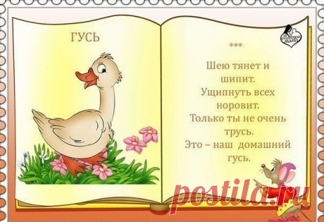 Интересные новости