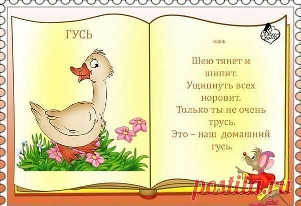 Интересные новости