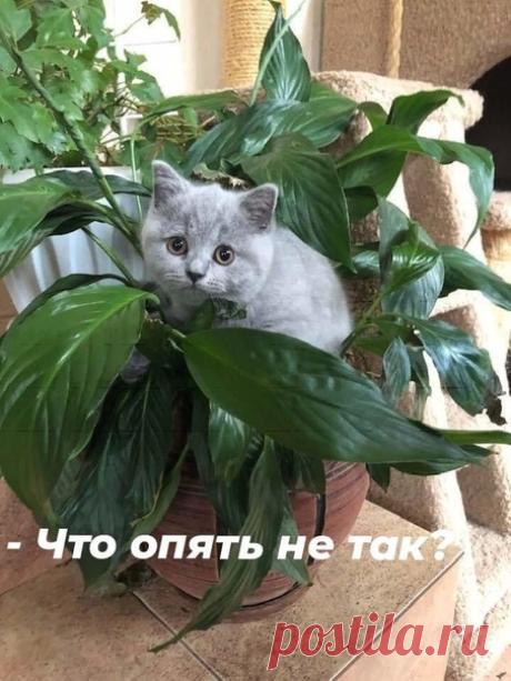 - И кто же ты теперь?