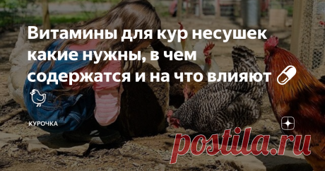 Витамины для кур несушек какие нужны, в чем содержатся и на что влияют 💊🐔 Добрый день, опытные и начинающие птицеводы. Оптимизация витаминного питания как способ улучшения продуктивности кур-несушек в нашем материале. Поговорим про витамины для кур несушек. Какие нужные и на что они влияют, помимо яйценоскости. Метаболизм и прочие физиологические процессы у кур-несушек протекают нормально лишь при удовлетворении их потребности в минералах и витаминах – биологических ката...