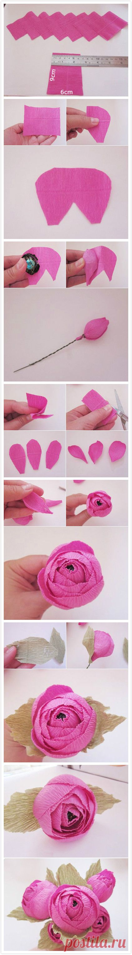 How to Make Special Day Chocolate Flower Bouquet