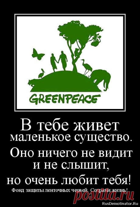 спаси жизнь сволочь