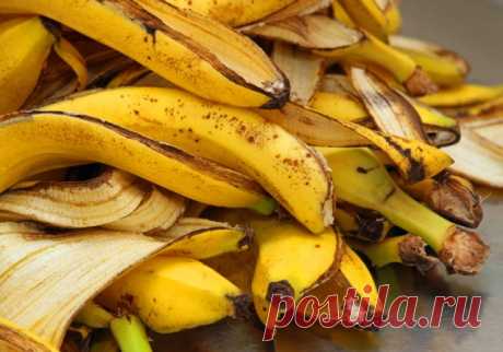 Чем подкормить комнатные растения – выбираем идеальные удобрения для цветов на подоконнике | Полезно (Огород.ru)