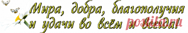 Сферические панорамы