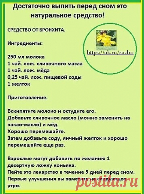 Бронхит. Средство от бронхита