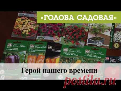 Голова садовая - Герой нашего времени