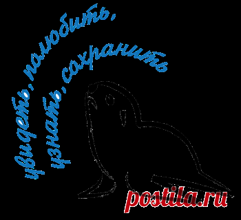 схемы для вышивки нерп – Google Поиск
