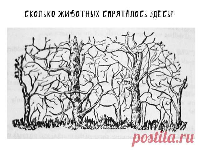 Сколько животных вы здесь насчитали? Ответ может кое-что рассказать о вас! | Милая Я Считаете ли вы себя внимательным человеком? Каким бы ни был ваш ответ, мы можем проверить это прямо сейчас! Взгляните на эту картинку. На первый взгляд, на ней изображены четыре деревца. Однако, если вы приглядитесь, вы увидите, что в картинке спрятаны животные. Давайте начнем наш тест! Сколько животных вы насчитали? Художник замаскировал здесь аж восемь животных! Но кто-то видит и больше....