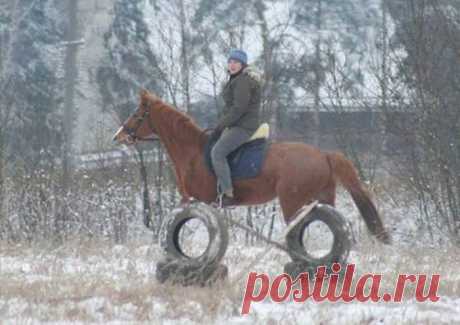 Кадры, сделанные в нужный момент!