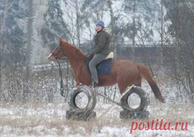 Кадры, сделанные в нужный момент!