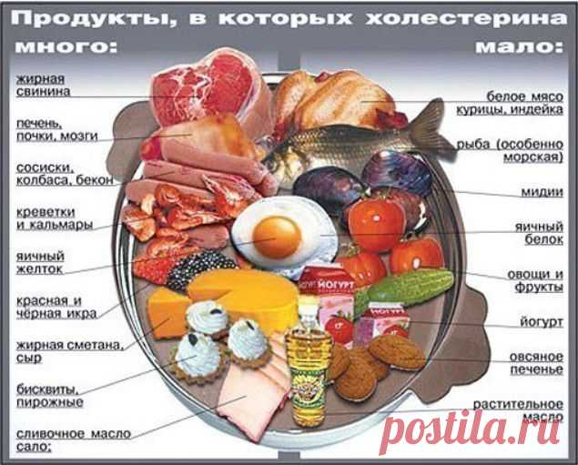 В каких продуктах много и мало Холестерина.