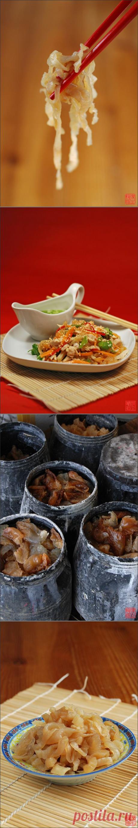 Морское сало ( медузы: есть или не есть?)