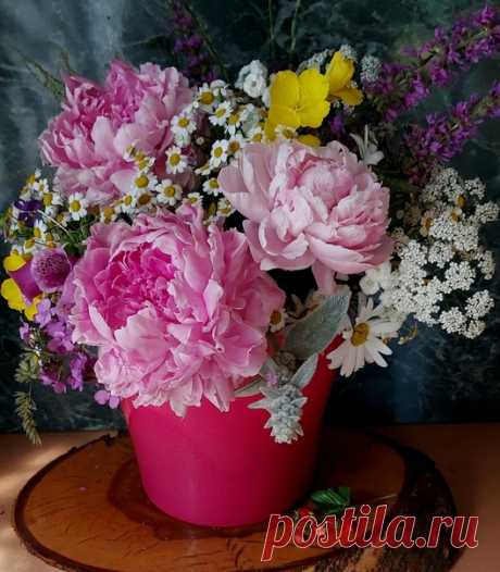 Последние пионы ☹🌸