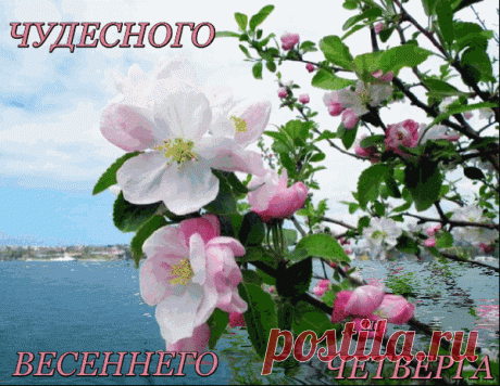 (21) Мой Мир@Mail.Ru