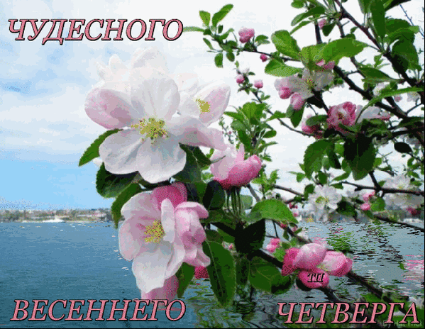 (21) Мой Мир@Mail.Ru