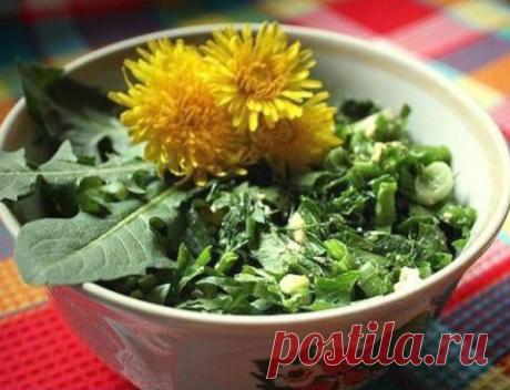 Рецепты из сорняков от профессора Татьяны Киселёвой