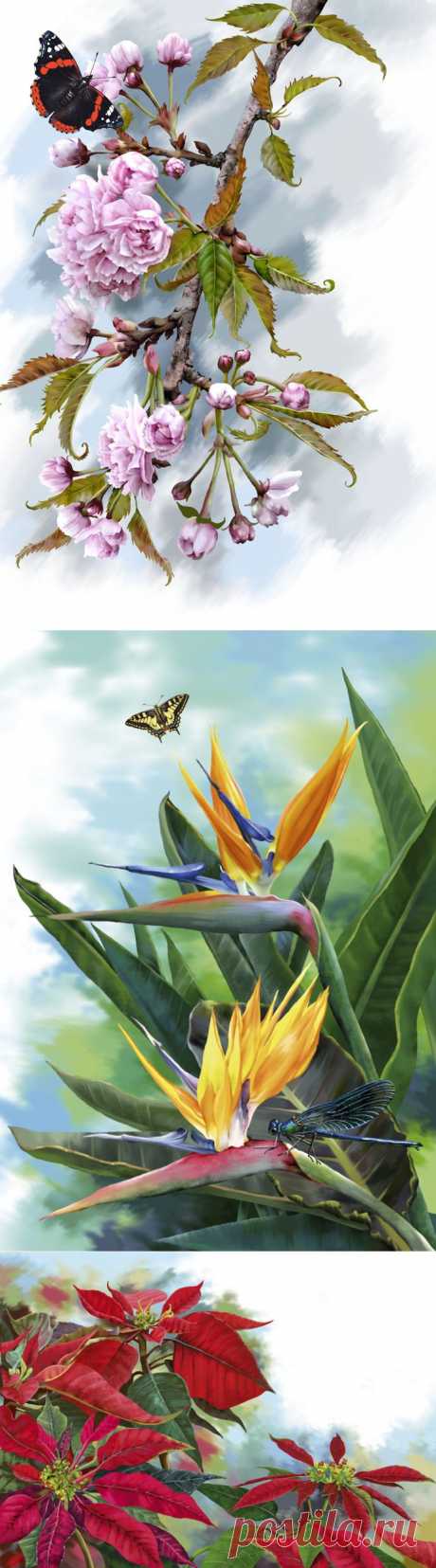 РАБОТЫ ЕЛЕНЫ ДОВЕДОВОЙ.