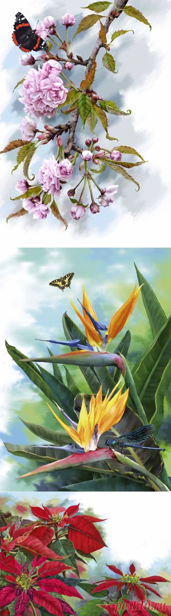 РАБОТЫ ЕЛЕНЫ ДОВЕДОВОЙ.