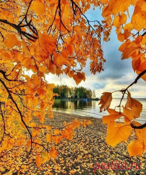 Осень, ты прекрасна! ... ;)