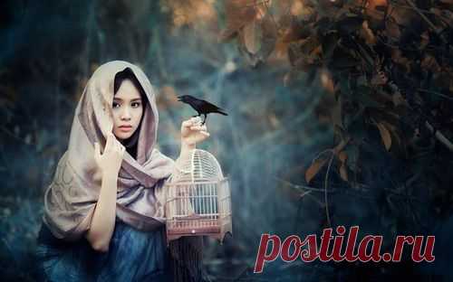 ПРИТЧА: Птица счастья