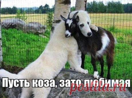 Журнал Дара Оренбург
Улыбнитесь! :-)