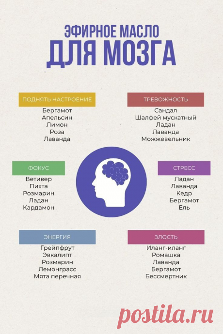 Эфирное масло для мозга