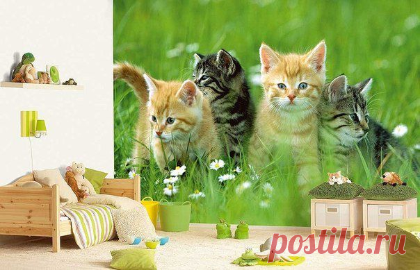 Загородное Строительство по низким ценам