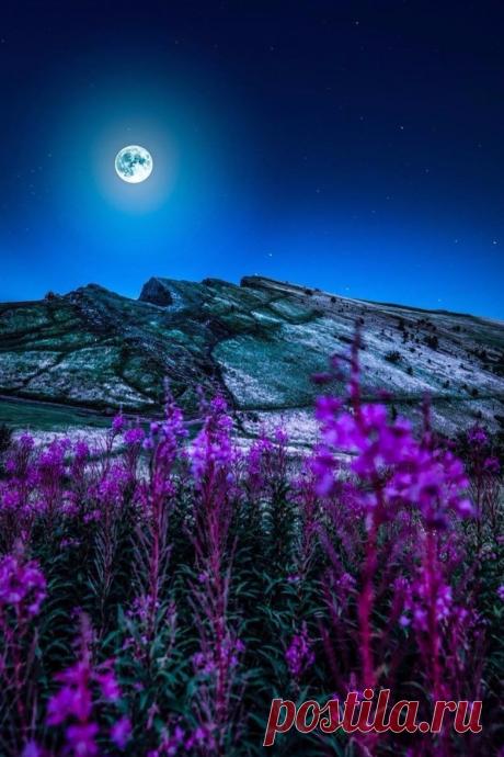 maureen2musings:
“Scotland drenday
”