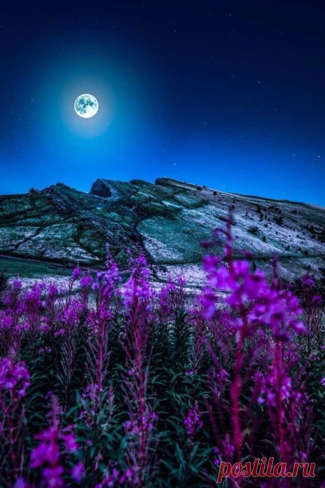 maureen2musings:
“Scotland  drenday
”