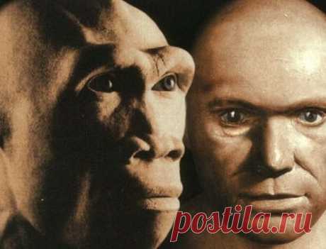 Почитайте новую версию о происхождении человека