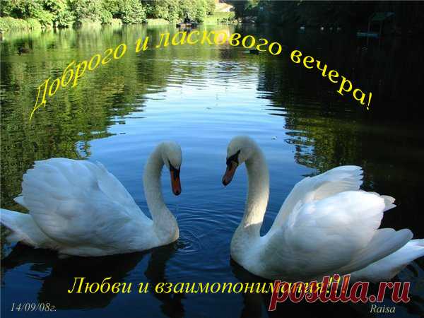 Анимация - 26309 фото. Фотографии Ирина Свиридова.