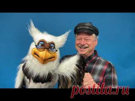 Blinking Eyed Deluxe Owl