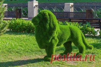 Кусты в форме животных в парке 